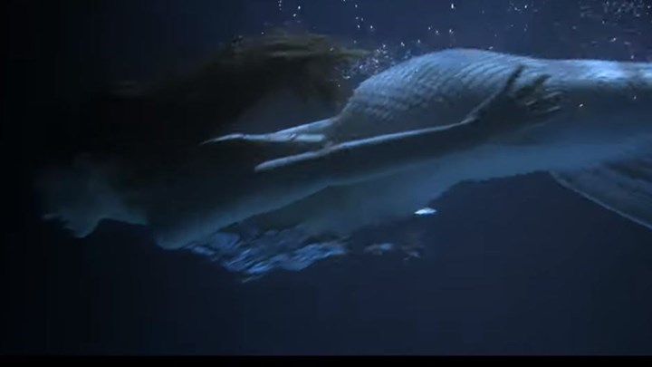 Επικό διαφημιστικό βίντεο του εστιατορίου με τα… “χρυσά” καλαμαράκια – Η γοργόνα και τα αφροδισιακά οστρακοειδή