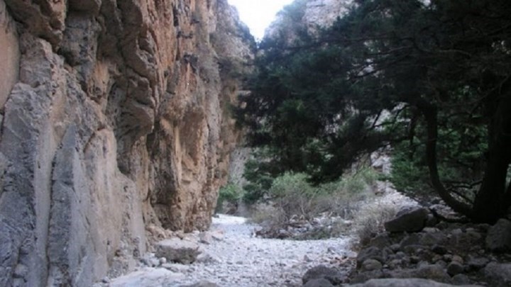 Έψαχναν επί τέσσερις ώρες 70χρονη τουρίστρια στο φαράγγι Δικτάμου – Δεν είχε μαζί της νερό