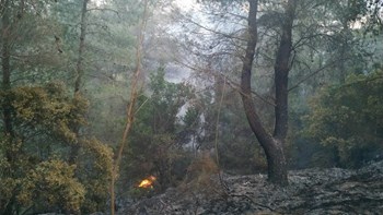 Συνελήφθη 23χρονος για την πυρκαγιά στη Δυτική Αχαΐα