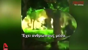 Βίντεο ντοκουμέντο: Η στιγμή της επίθεσης χούλιγκαν σε καφετέρια στην Πάτρα