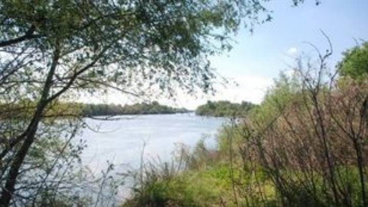 Έρευνα που προκαλεί αίσθηση: Τα δένδρα αλλάζουν… φύλο