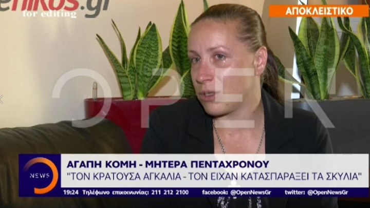 Συγκλονίζει η μητέρα του 5χρονου που τον κατασπάραξαν ροτβάιλερ στην Κοζάνη -ΒΙΝΤΕΟ