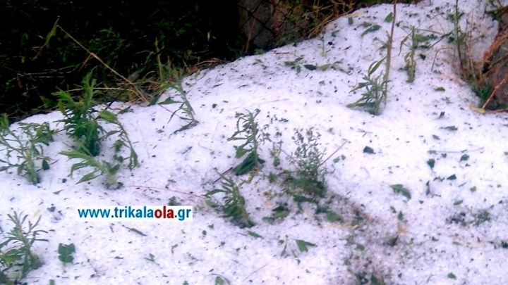 Μπουρίνι με χαλαζόπτωση «σάρωσε» το Ζάρκο Τρικάλων – ΒΙΝΤΕΟ