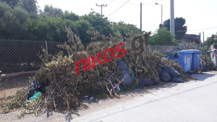 SOS από τους κατοίκους της Νέας Μάκρης για τα βουνά σκουπιδιών – Καταγγελία αναγνώστη του enikos.gr
