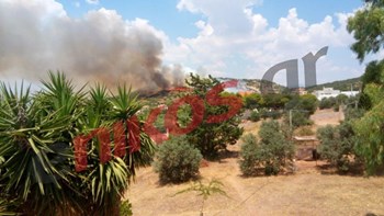 Πυροσβεστική: Δεν υπάρχει άμεσος κίνδυνος για τα σπίτια στο Λαγονήσι