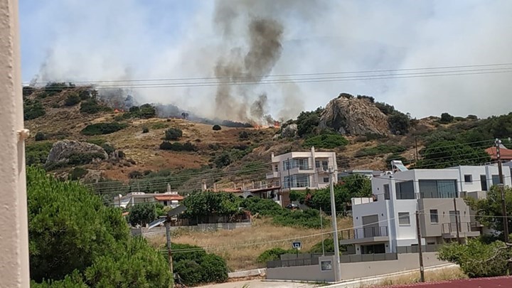 Δήμαρχος Σαρωνικού στο enikos.gr: Υπήρχαν μελίσσια κοντά στο σημείο απ’ όπου ξεκίνησε η φωτιά