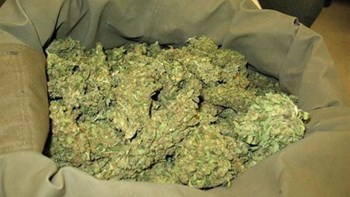 Δύο συλλήψεις για καλλιέργεια κάνναβης στο Ηράκλειο