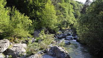 Αίσιο τέλος στην περιπέτεια δύο τουριστών στο φαράγγι Ενιπέα