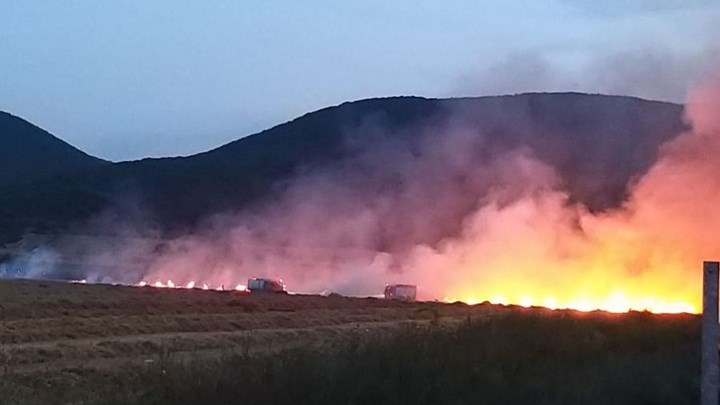 Χωράφι «έπιασε» φωτιά από πυροτεχνήματα γάμου – ΦΩΤΟ