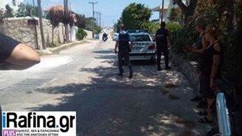 Φωτιά στον Νέο Βουτζά κοντά στο Λύρειο Ίδρυμα – ΦΩΤΟ