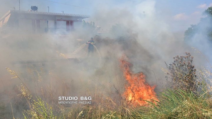Φωτιά στην Αργολίδα κοντά σε σπίτια – ΒΙΝΤΕΟ