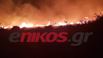 Υπό έλεγχο η πυρκαγιά στην Κάρυστο – Εκκενώθηκαν προληπτικά κατοικίες – ΒΙΝΤΕΟ – ΦΩΤΟ