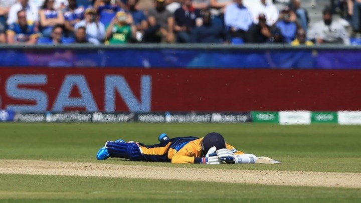 Όταν ήρθαν οι μέλισσες… – Παίκτες κρίκετ ξάπλωσαν στο χορτάρι για να σωθούν από την επέλαση – ΦΩΤΟ – ΒΙΝΤΕΟ