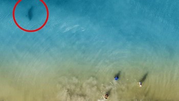 Οι διακοπές που παραλίγο να μετατραπούν σε τραγωδία – Έβλεπε από το drone καρχαρία να πλησιάζει τα παιδιά του – ΦΩΤΟ