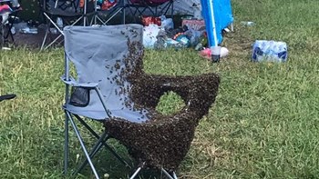 Σε κρίσιμη κατάσταση 70χρονος που δέχτηκε επίθεση από χιλιάδες μέλισσες