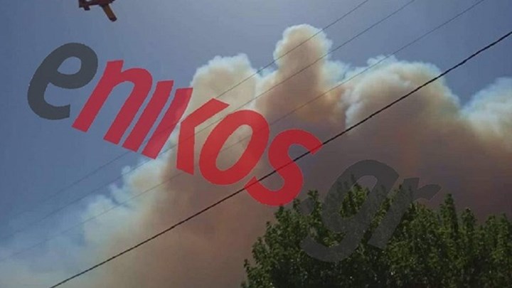 Μεγάλη μάχη με τις φλόγες στην Εύβοια – Εκκενώθηκε το Μακρυχώρι – ΦΩΤΟ – BINTEO αναγνώστη