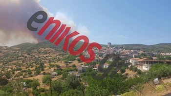 Τι δηλώνει ο δήμαρχος Κύμης-Αλιβερίου στο enikos.gr για τη φωτιά στην Εύβοια