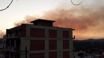 Μαίνεται η φωτιά στην Εύβοια – Μία σύλληψη – Πέντε άτομα με αναπνευστικά προβλήματα στο Κ.Υ. Αλιβερίου – ΦΩΤΟ – ΒΙΝΤΕΟ