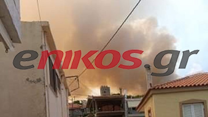Οι πρώτες εικόνες από τη νέα φωτιά στο Τραχήλι της Εύβοιας – ΦΩΤΟ αναγνώστη