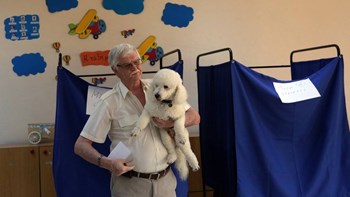 Αυτός είναι ο… ψηφοφόρος που έκλεψε την παράσταση – ΦΩΤΟ