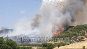 Οι πρώτες εικόνες από την πυρκαγιά στη Φθιώτιδα – ΦΩΤΟ
