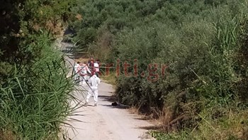 Θρίλερ με τον θάνατο της Αμερικανίδας βιολόγου – Στην Κρήτη άνδρες του εγκληματολογικού – ΦΩΤΟ