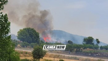 Ενισχύονται οι δυνάμεις της Πυροσβεστικής στη μάχη με τις φλόγες στη Δίβρη
