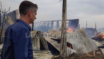 Στο μέτωπο της φωτιάς στη Δίβρη Φθιώτιδας ο Κώστας Μπακογιάννης – ΦΩΤΟ