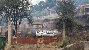 Κάηκαν αυλές σπιτιών στη Δίβρη – Οι φλόγες έφτασαν στον οικισμό – ΦΩΤΟ – ΒΙΝΤΕΟ