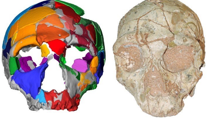 Σημαντική ανακάλυψη: Στην Ελλάδα το αρχαιότερο δείγμα Homo Sapiens