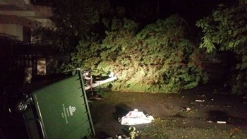 Συγκλονίζει η μαρτυρία για τον θάνατο της 54χρονης και του 8χρονου παιδιού στη Χαλκιδική – ΒΙΝΤΕΟ