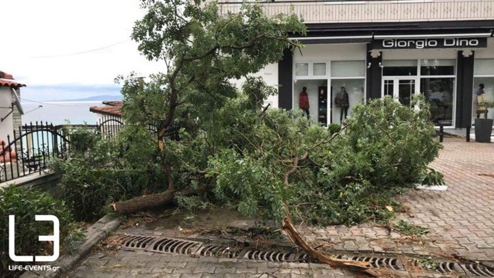 Πέντε παιδιά που τραυματίστηκαν στη Χαλκιδική νοσηλεύονται στο “Γ.Γεννηματάς”- Τι λέει η Διοικήτρια του νοσοκομείου