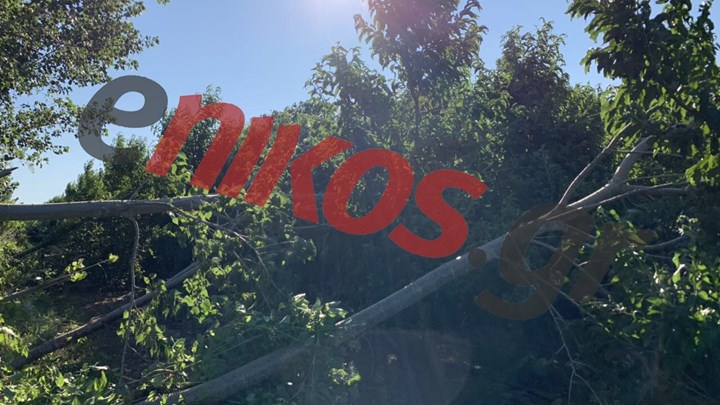 Μεγάλες ζημιές στη Φλώρινα από την κακοκαιρία  – ΦΩΤΟ αναγνώστη