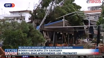 Σοκάρει η περιγραφή για το πώς η κακοκαιρία σκότωσε μάνα και γιο στη Χαλκιδική – ΒΙΝΤΕΟ