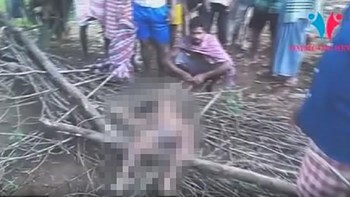 Φριχτός θάνατος για 7χρονη – Ελέφαντας την απήγαγε από το κρεβάτι της και την ποδοπάτησε – ΒΙΝΤΕΟ