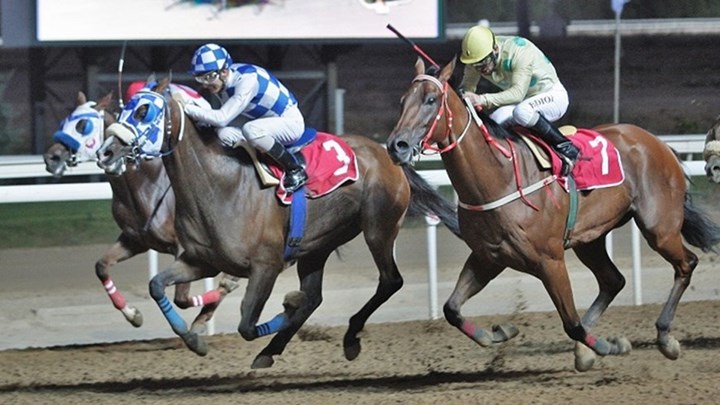 Markopoulo Park: Συναρπαστικό θέαμα και διασκέδαση για όλη την οικογένεια