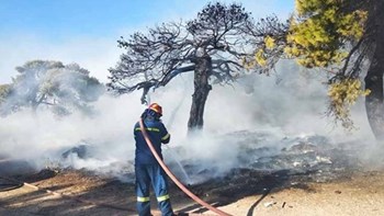 Σε εξέλιξη η φωτιά στον Εθνικό Δρυμό Οίτης – Εκτιμάται πως προκλήθηκε από κεραυνό