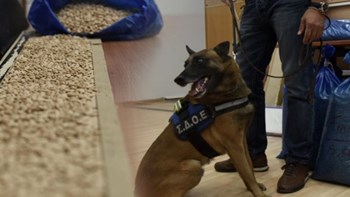 Το “φίλτρο του τρόμου” – Το “ναρκωτικό των τζιχαντιστών”