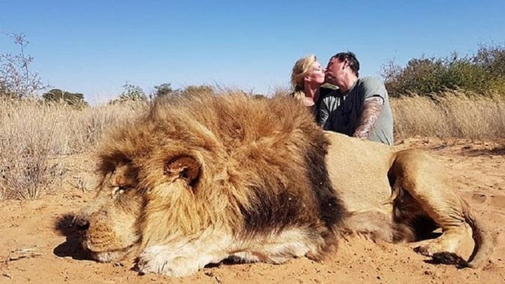 Σάλος με το φιλί ζευγαριού μπροστά στο λιοντάρι που σκότωσαν