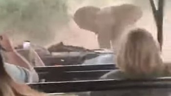 Το σαφάρι τους βγήκε ξινό – Ελέφαντας τους πήρε στο κυνήγι – ΒΙΝΤΕΟ