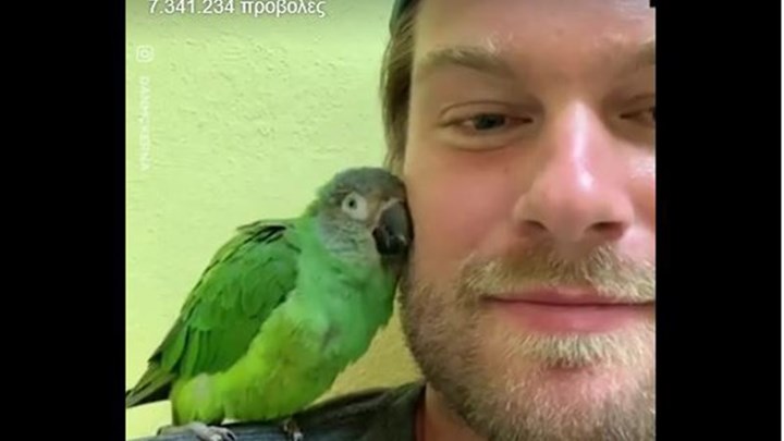 Τα χάδια και η αγάπη ενός παπαγάλου στο αφεντικό του  – ΒΙΝΤΕΟ