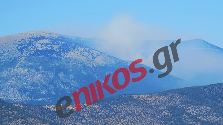 Η φωτιά στον Κιθαιρώνα ορατή και από το Πόρτο Γερμενό – ΦΩΤΟ αναγνώστη