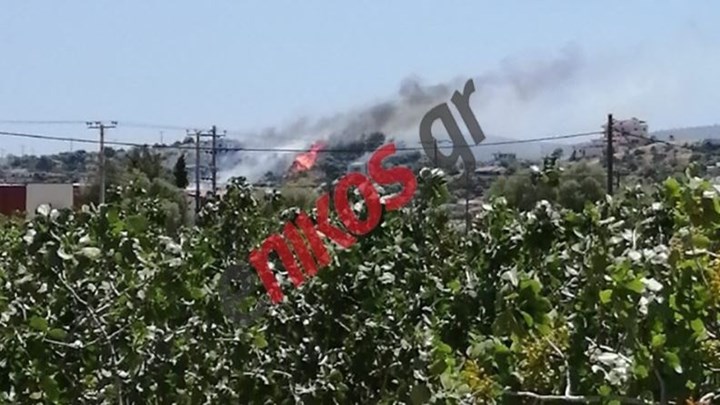 Μεγάλη φωτιά στα Μέγαρα: Κοντά σε σπίτια οι φλόγες – Εσπευσμένα στο σημείο ο Γ.Γ. Πολιτικής Προστασίας – ΦΩΤΟ – ΒΙΝΤΕΟ