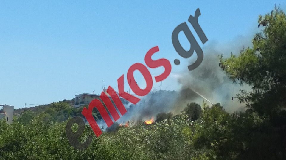 Δήμαρχος Μεγαρέων στο enikos.gr: Δεν υπήρξαν υλικές ζημιές από τη φωτιά