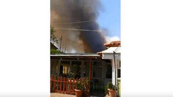 ΒΙΝΤΕΟ από τη φωτιά στη Ραφήνα