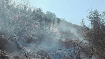 Οι πρώτες εικόνες από τη φωτιά στη Ζάκυνθο – ΦΩΤΟ