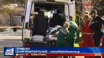 Ανατροπή στην υπόθεση του 16χρονου Ελληνοαυστραλού: Τον πυροβόλησε ο αδελφός του – ΒΙΝΤΕΟ