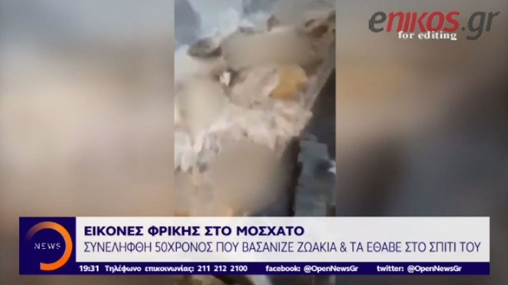 Εικόνες φρίκης στο Μοσχάτο – Εντοπίστηκαν δεκάδες πτώματα σκυλιών και γατιών σε σπίτι -BINTEO