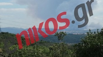 Σε εξέλιξη η φωτιά στην Τανάγρα -Και εναέρια μέσα στη μάχη για την κατάσβεση