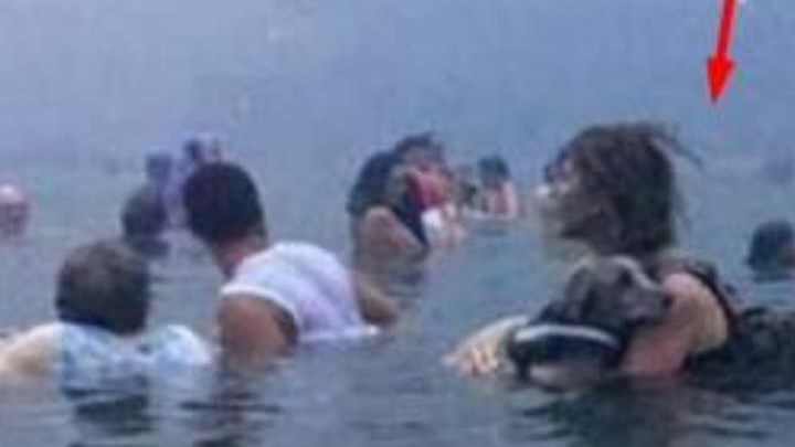 “Η αγάπη μπορεί να σώσει” – Η συγκινητική ανάρτηση στο facebook για την γυναίκα που κρατούσε αγκαλιά τον σκύλο της στο Μάτι – ΦΩΤΟ